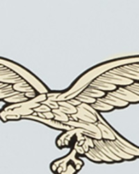 Luftwaffe Helmet decals